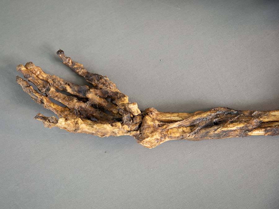 corpse-2_5_900x673px