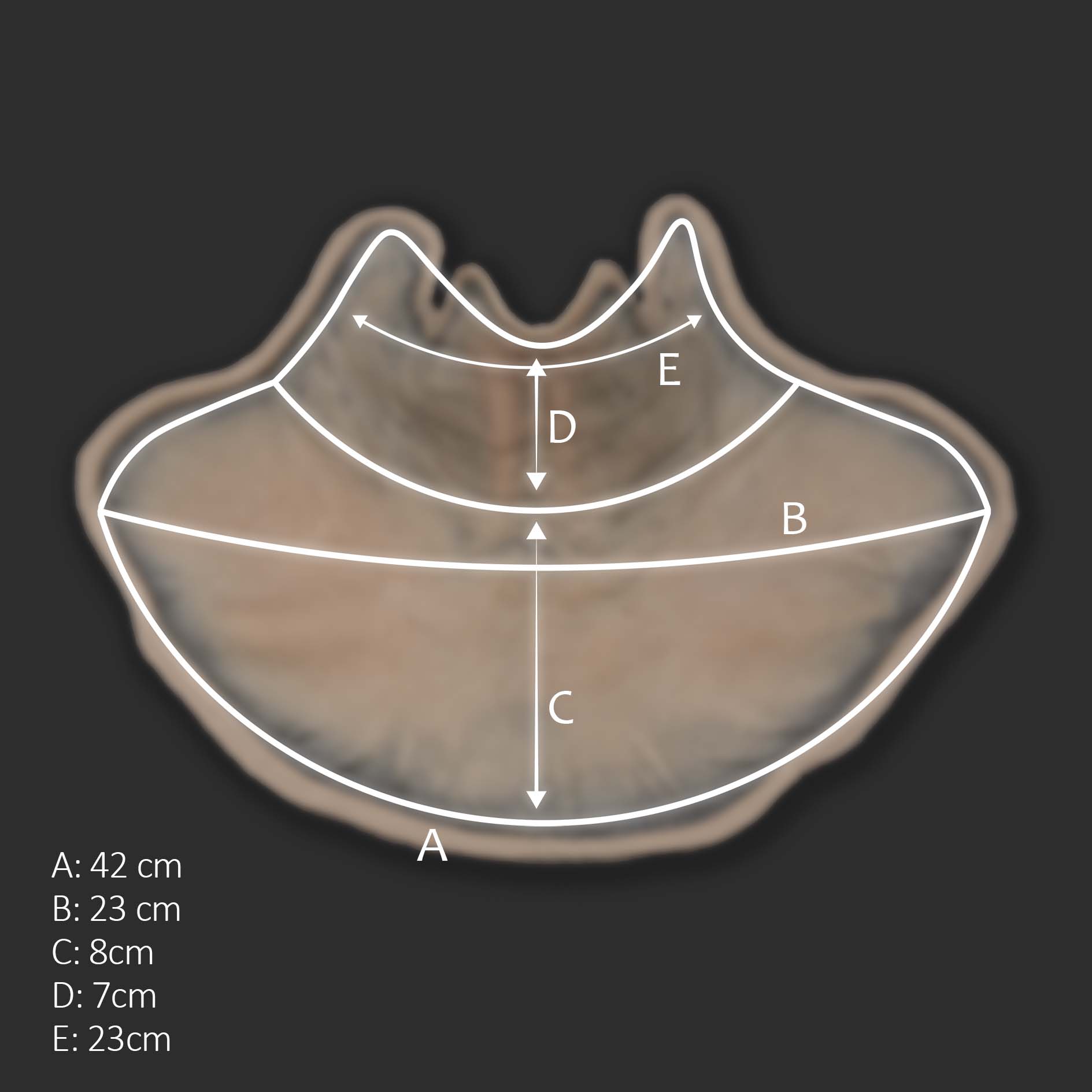 neck-measurements