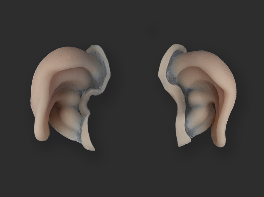 Pig-Ears_S_900x673px