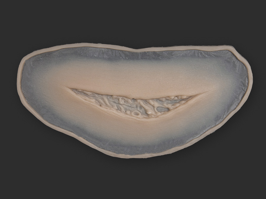 C27_S_prosthetic_900x673px C27 Silicone