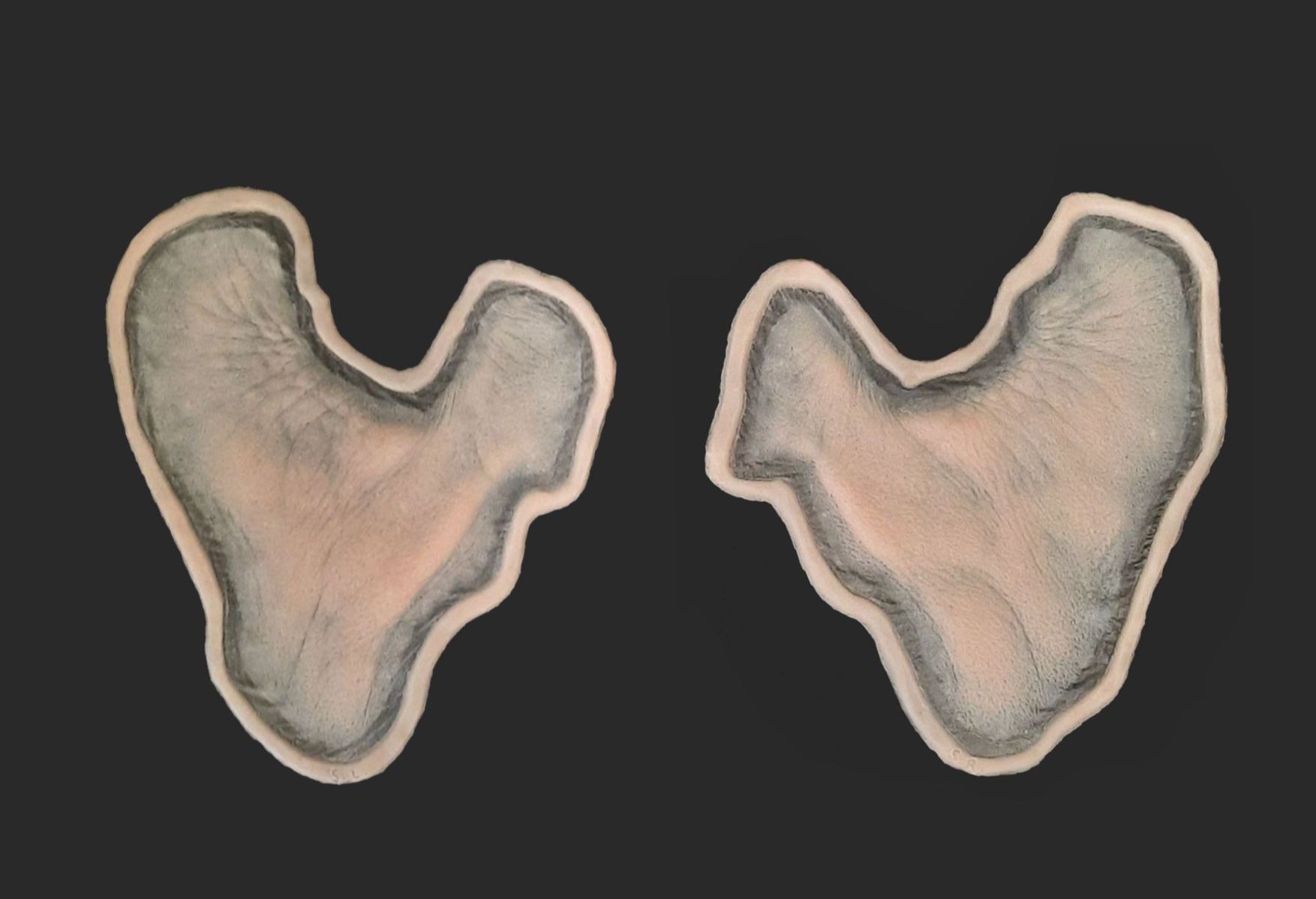 OA10_Pair of Cheeks with beard OA10_Wangen L+R (Bartgeeignet) – Bild 1