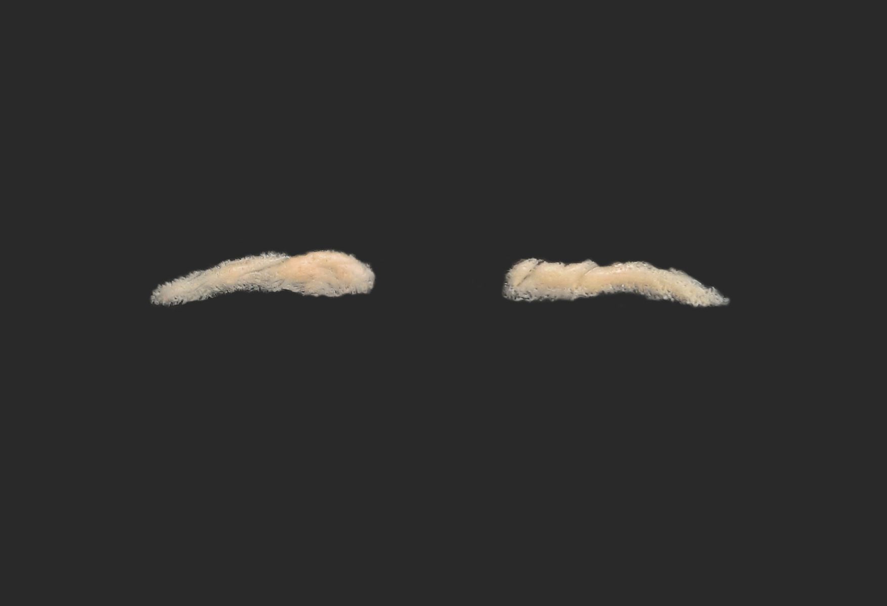 OA10_Pair of Eyelids OA10_Oberlider L+R – Bild 1