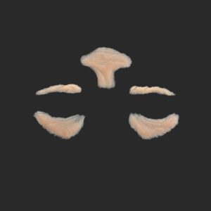 OA10_Kleines Gesichts-Set
