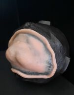 OA14_Kinn – Bild 2