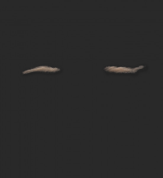 OA1_Pair of Eyelids OA1_Oberlider L+R – Bild 1