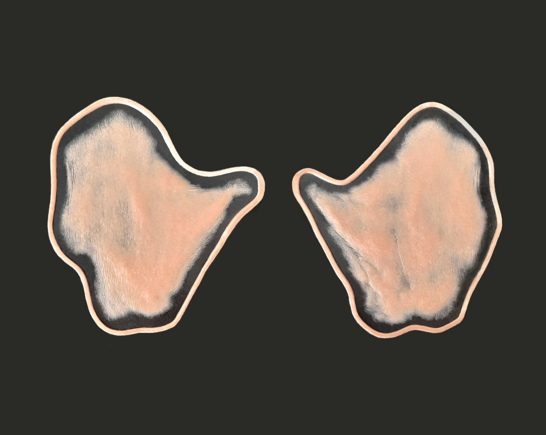 OA2_Pair of Cheeks OA2_Wangen L+R – Bild 1