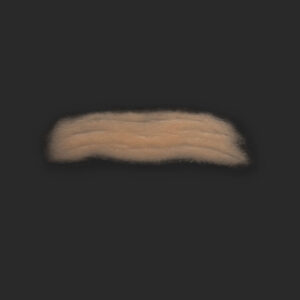 OA3_Stirn