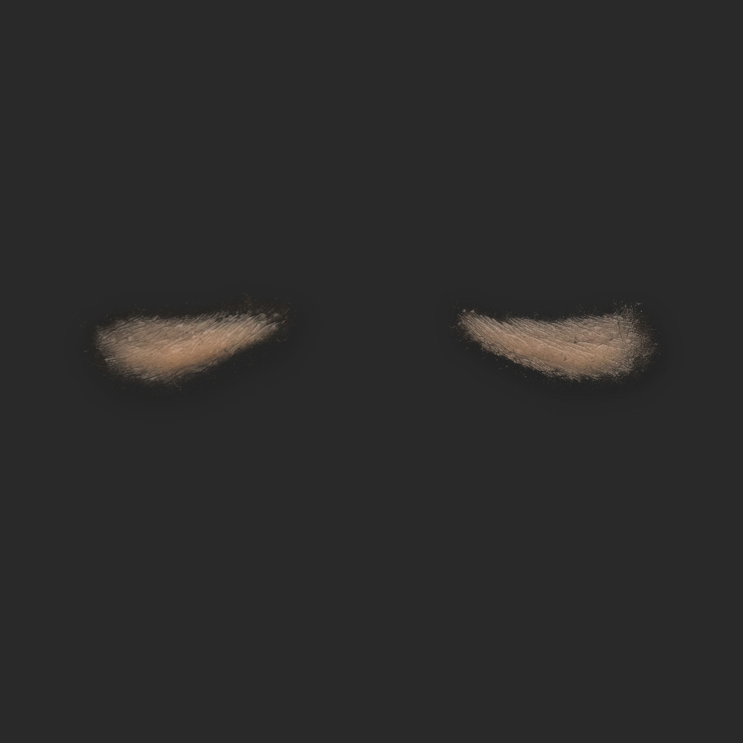 OA6_Pair of Eyebags OA6_Tränensäcke L+R (subtil) – Bild 1