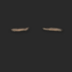 OA6_Oberlider L+ R (subtil)