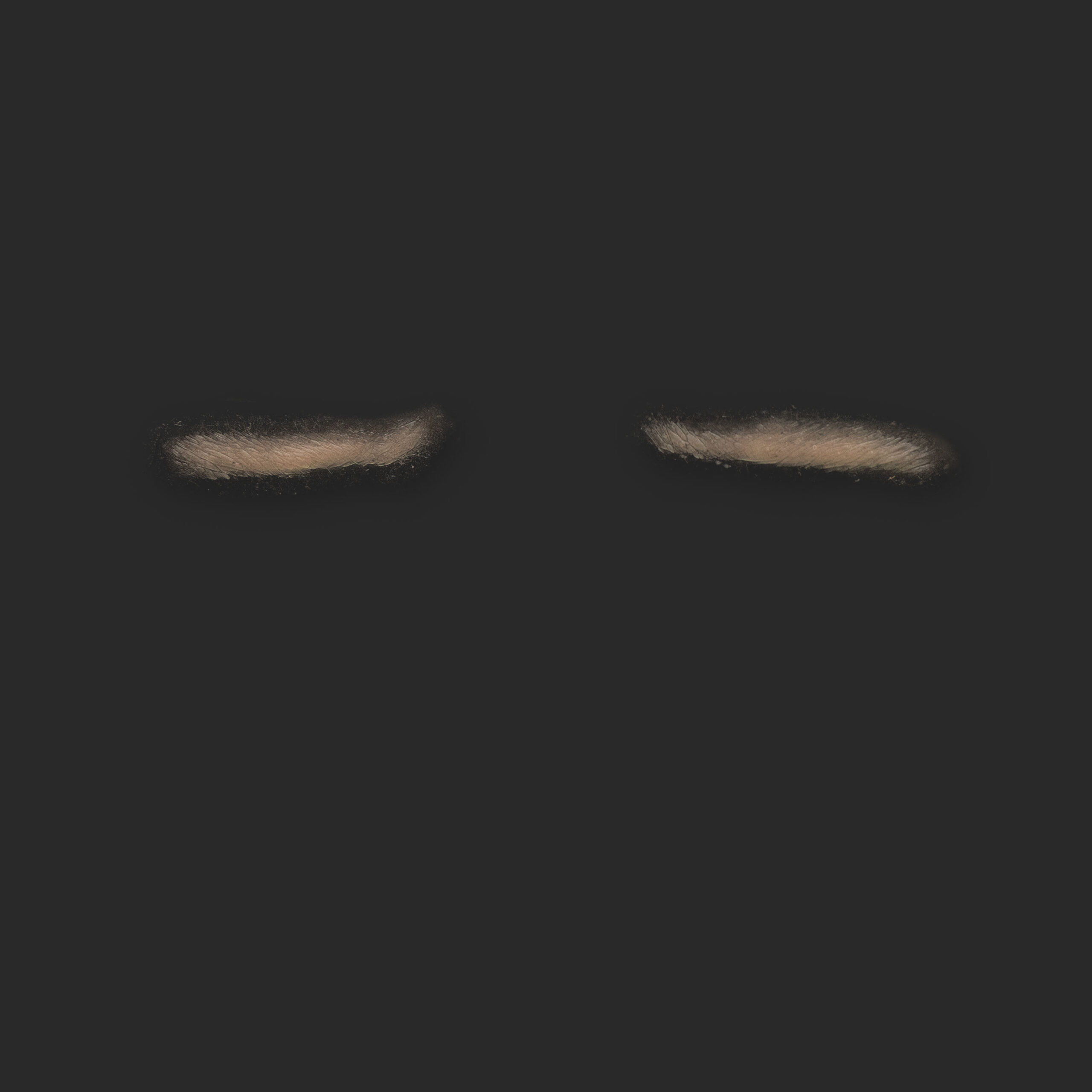 OA6_Pair of Eyelids OA6_Oberlider L+ R (subtil) – Bild 1