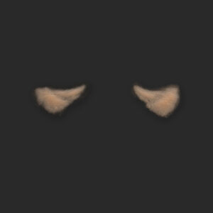OA7_Tränensäcke L+R (Subtil)