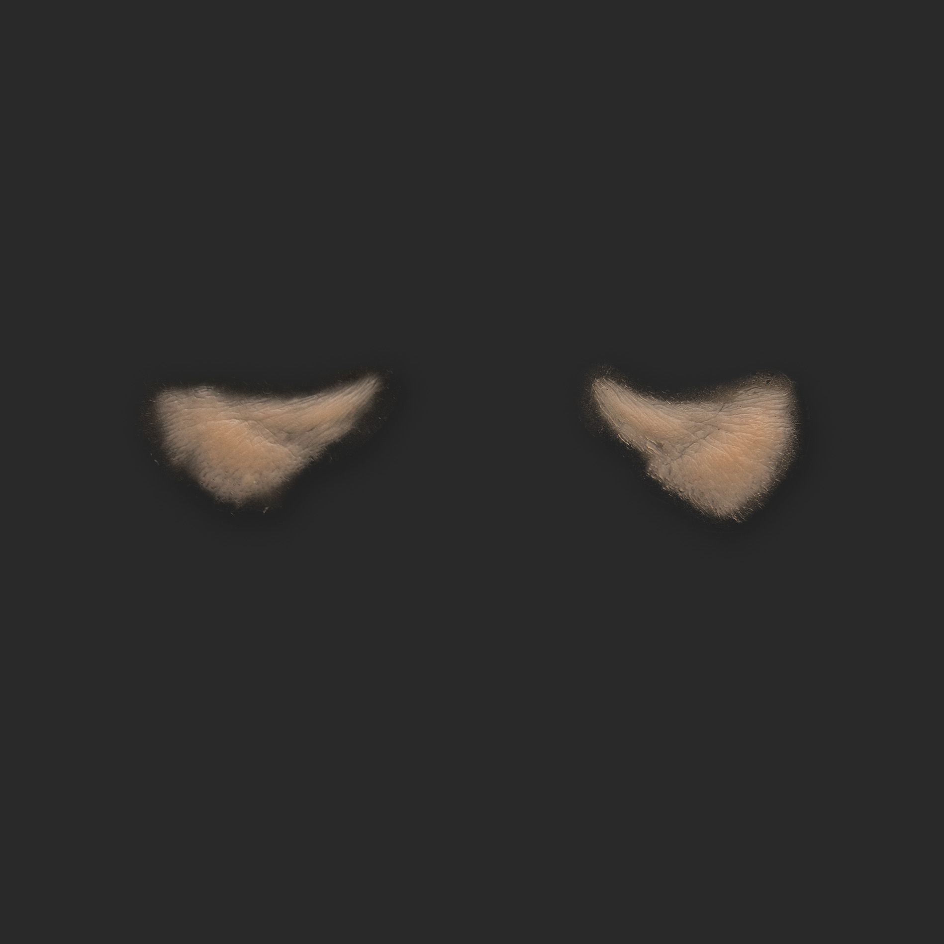 OA7_Pair of Eyebags OA7_Tränensäcke L+R (Subtil) – Bild 1