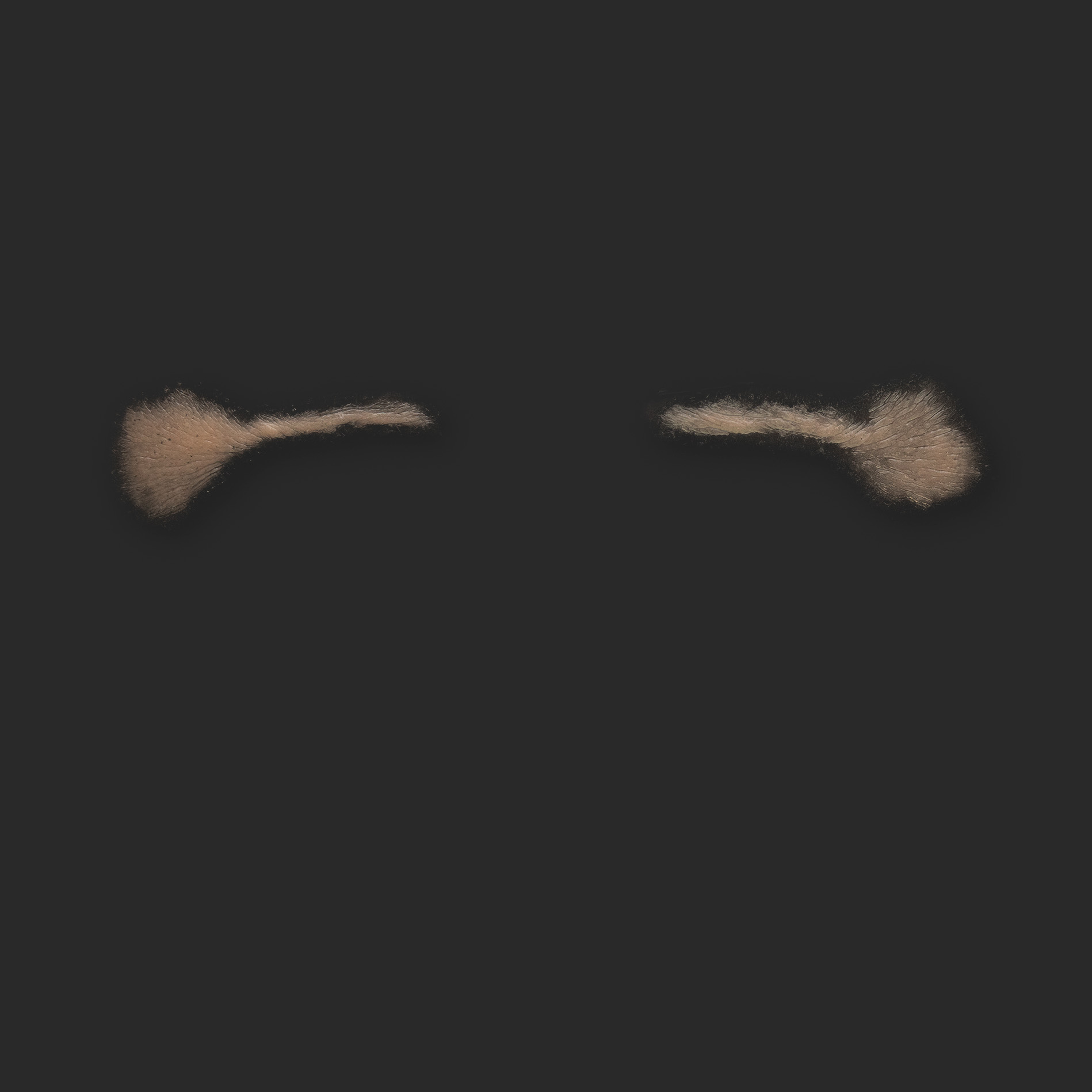 OA7_Pair of Eyelids OA7_Oberlider L+R (Subtil) – Bild 1