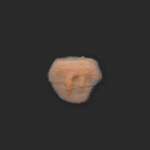 OA8_Halsteil