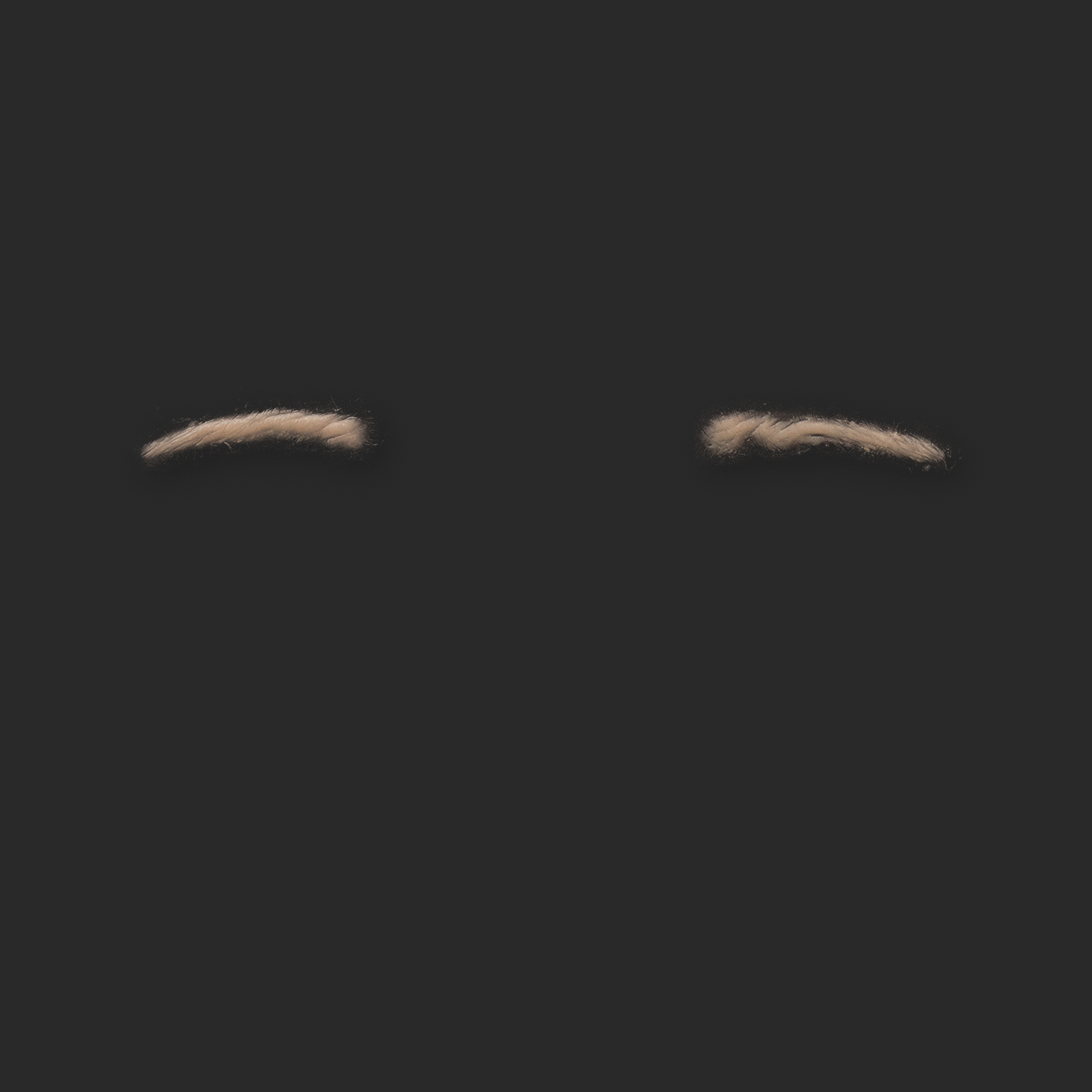 OA8_Pair of Eyelids OA8_Oberlider L+R – Bild 1