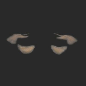 OA9_Augen-Set
