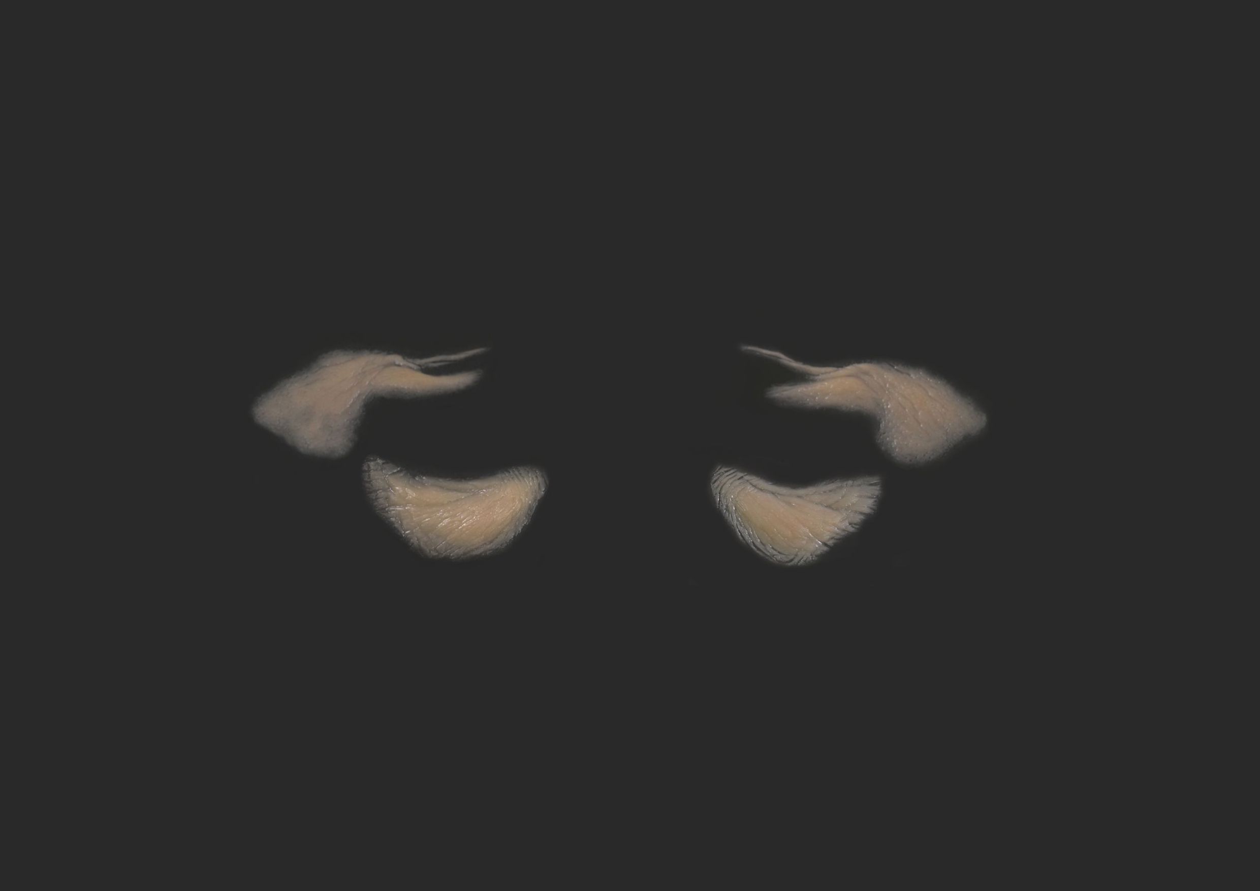 OA9_Eyes-Set OA9_Augen-Set – Bild 1