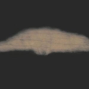 OA9_Stirn