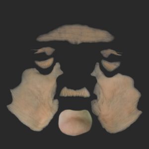 OA9_Großes Gesichts-Set