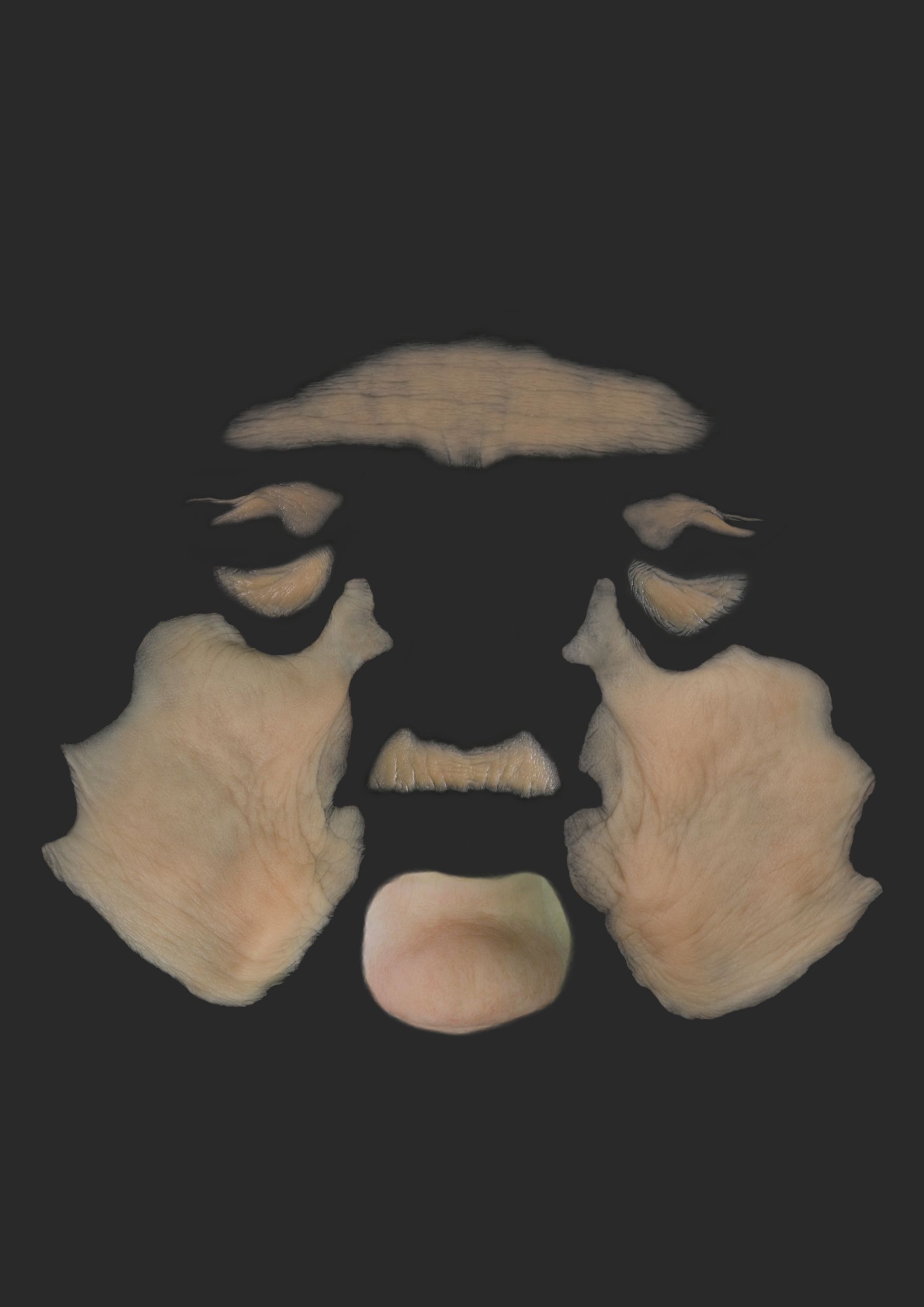 OA9_Large Facial Set OA9_Großes Gesichts-Set – Bild 1