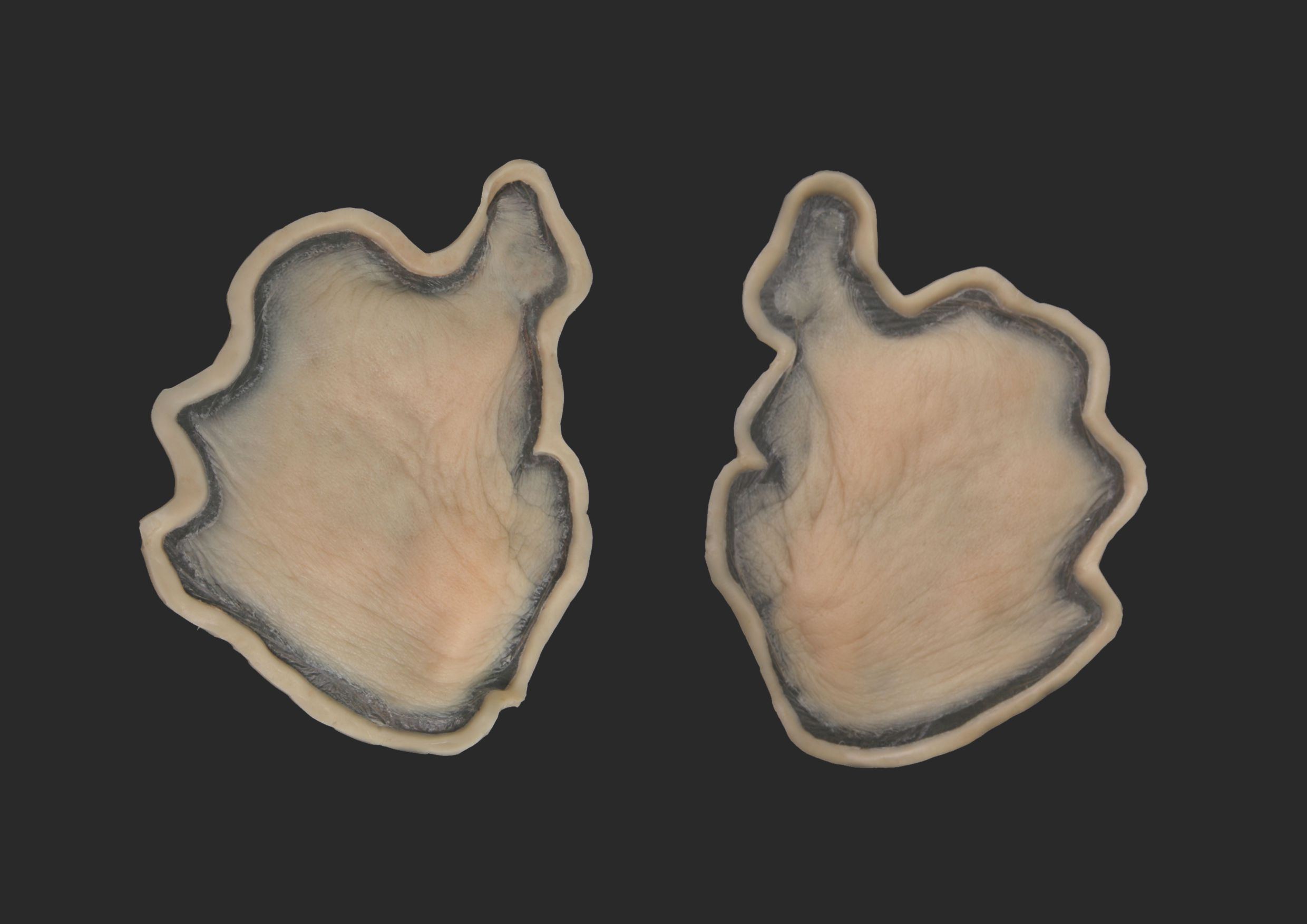 OA9_Pair of Cheeks OA9_Wangen L+R – Bild 1