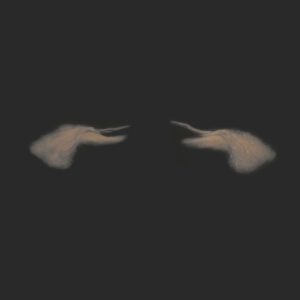 OA9_Oberlider L+R