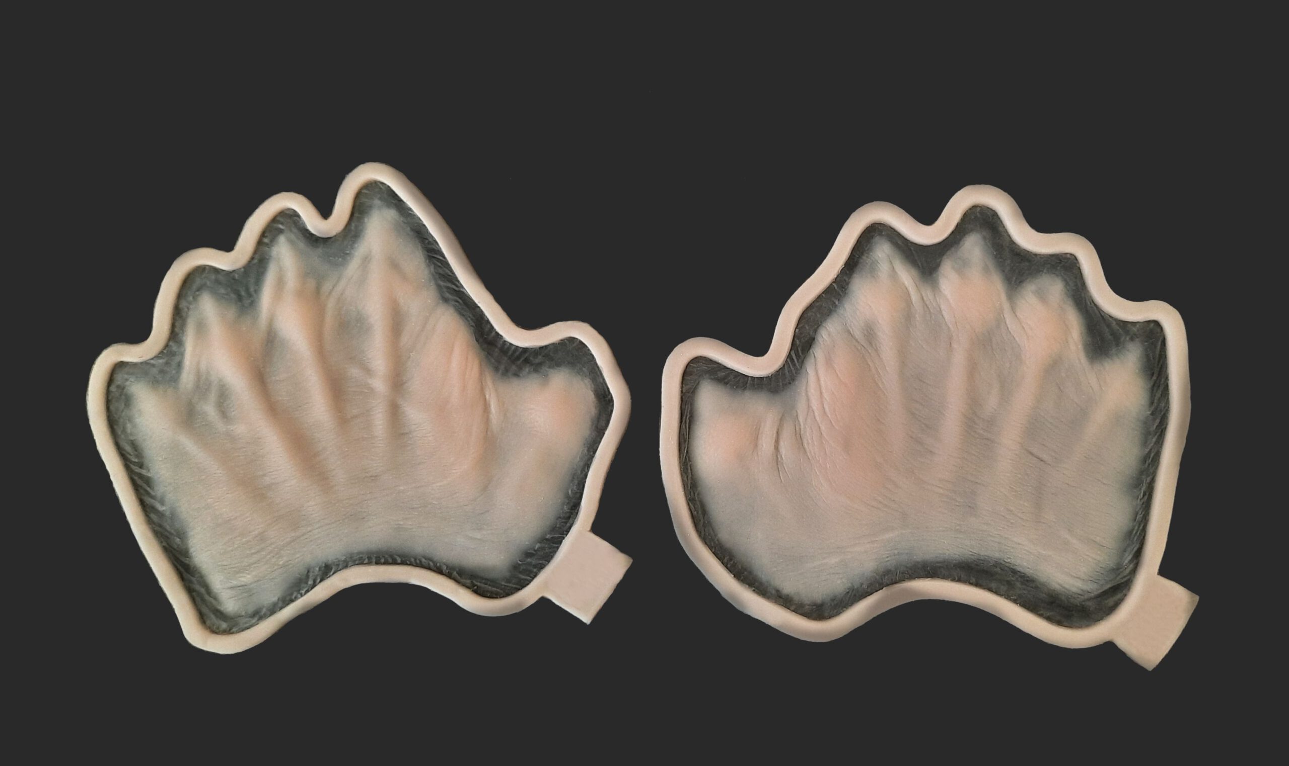 OA9_Pair of Hands OA9_Hände L+R – Bild 1