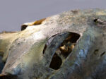 Corpse #1 – Bild 6