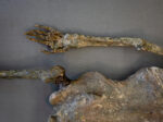 Corpse #1 – Bild 8
