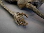 Corpse #1 – Bild 15