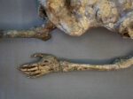 Corpse #1 – Bild 9