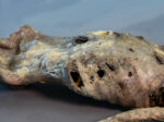 Corpse #1 – Bild 14