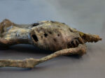 Corpse #1 – Bild 13