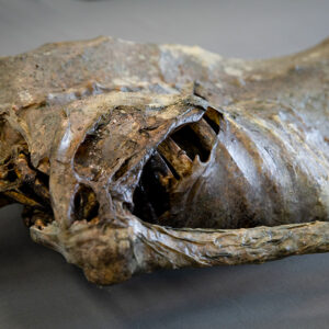 Corpse #1