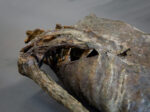 Corpse #1 – Bild 12