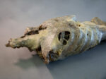 Corpse #1 – Bild 10