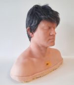 Dummy-Büste, männl. – Bild 2