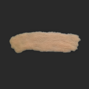 OA15_Stirn