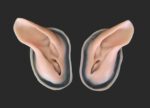 Creature Ears 2