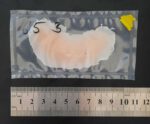 Bisswunde BW5 (Gelatine, Color Code Gelb)
