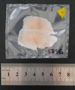 Geschwollenes Auge links SB1