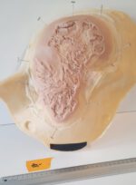 Gesichts-Prosthetic: Multitrauma 1
