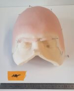 Halbglatze 2 – Bild 2