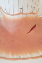 Halsschnitt 3 – Bild 4