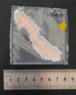 Narbe W44 (Gelatine, Color Code Gelb)