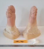 Reptilien-Füße – Bild 3