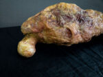 Rotten Leg