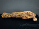 Rotten Leg
