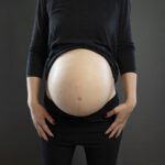 Large Belly R-PB4
