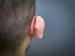 Creature Ears